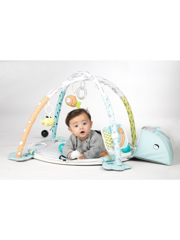 Tryco activity gym play mat/ball pit - Frog