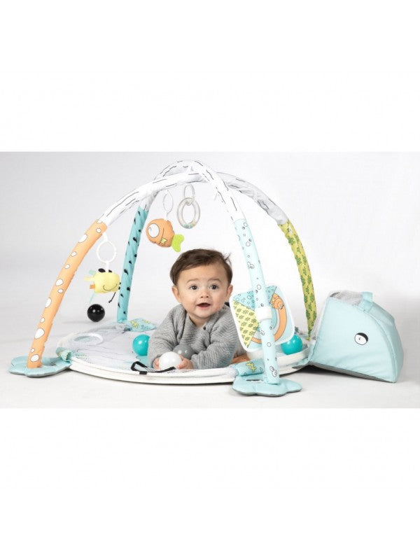Tryco activity gym play mat/ball pit - Frog